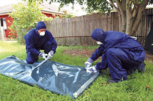 Absolute Asbestos Removal Melbourne