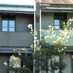 Victorian Terrace - asbestos can be found in in balconies replacing traditional iron lacework (as seen in photo), in bathrooms, laundries, kitchens and under flooring (carpet underlay, vinyl tiles or sheeting, wall and floor tiles), roofing and electrical power boxes etc. Victorian Terrace - asbestos can be found in in balconies replacing traditional iron lacework (as seen in photo), in bathrooms, laundries, kitchens and under flooring (carpet underlay, vinyl tiles or sheeting, wall and floor tiles), roofing and electrical power boxes etc.