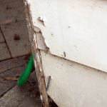 Asbestos weatherboard cladding AAG-Prod-Loc57