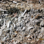 Naturally Occurring Asbestos