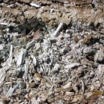 Naturally Occurring Asbestos