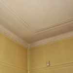 ACM sheeting - walls and ceiling