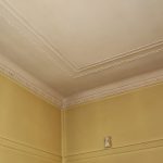 ACM sheeting - walls and ceiling
