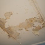 Peeling paint on ACM sheet internal roofing