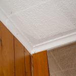 Hazard - Wood paneling and mirror tiles over ACM sheets and painted ceiling with asbestos in the paint.