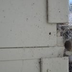 Exterior moulded asbestos joining strip 073