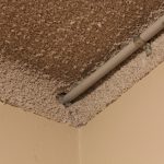 Vermiculite "popcorn" ceiling with electrical conduit